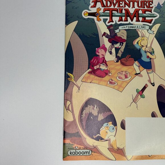 ADVENTURE TIME FIONNA & CAKE SPECIAL- FCBD Free Comic Book Day 2018 - Picture 2 of 4